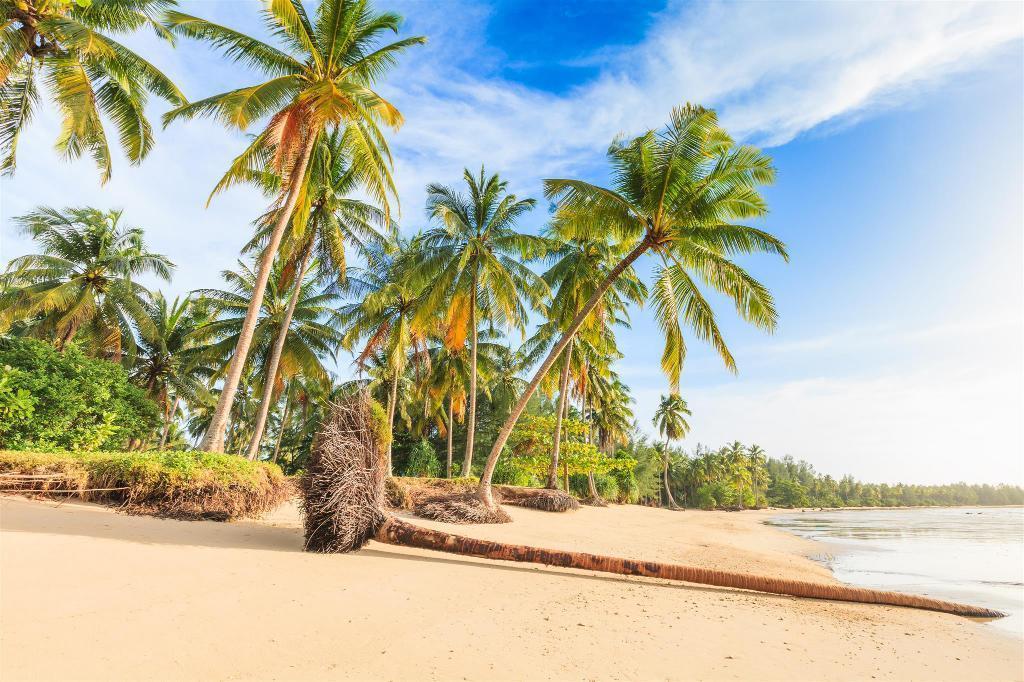 Water Palm Resort Talat Yai Ngoại thất bức ảnh